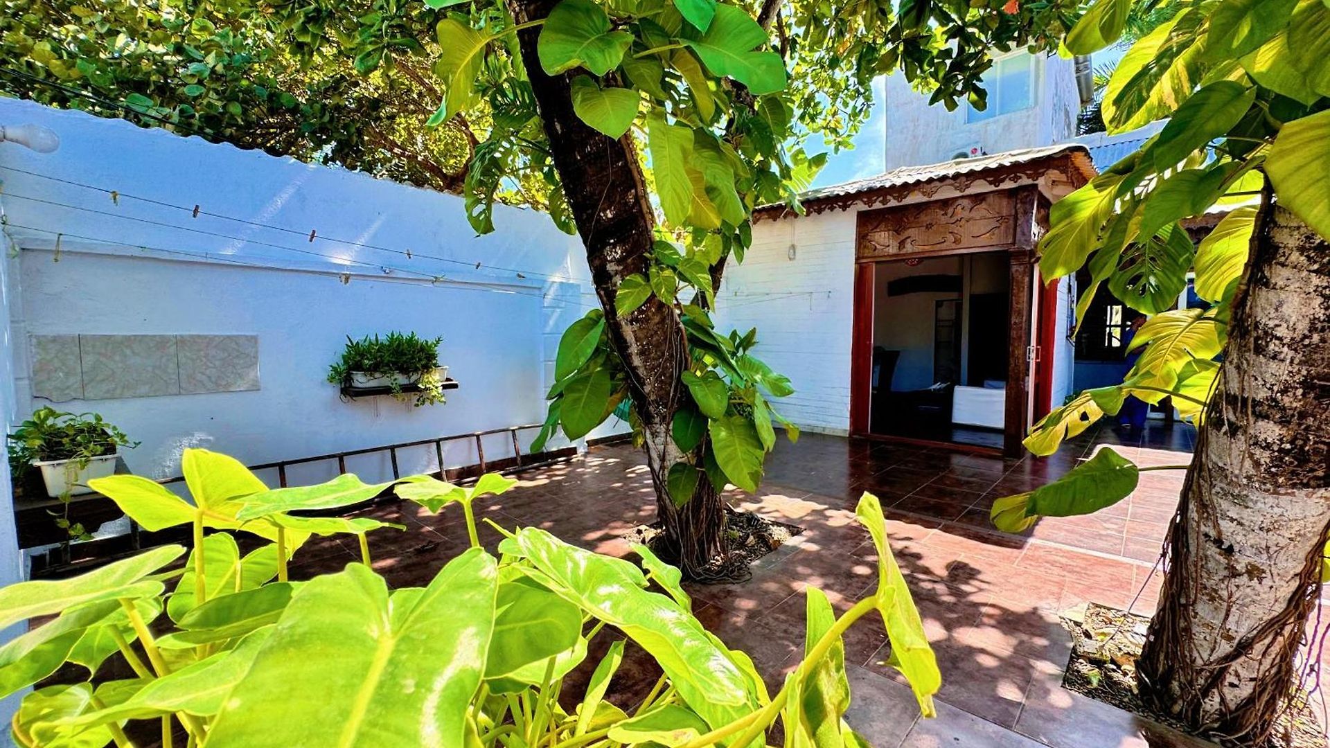 Hotel Auaecoco