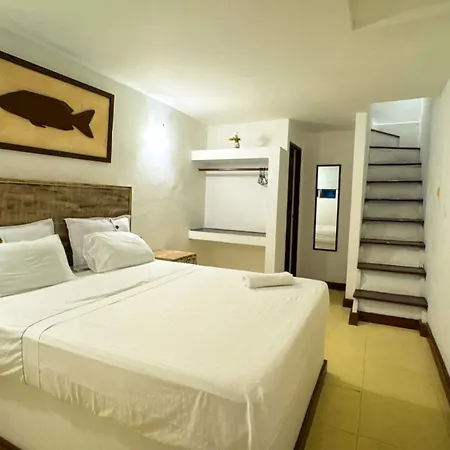Auaecoco * Cartagena